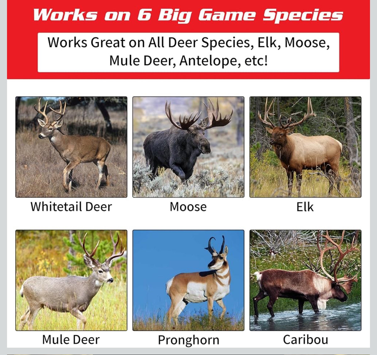 A Deer Dander 6 Pack LABOR DAY Deal + 1 FREE VK + Free Shipping