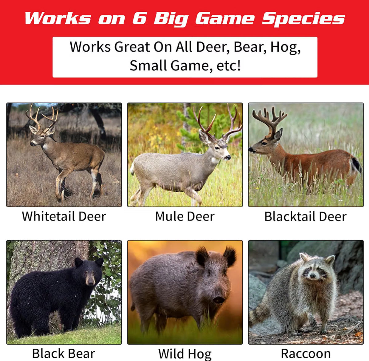 VK Vanilla Killa from the 1980’s PREMIUM All Deer, Bear, Hog Small Game HUNTING & TRAPPING Attractant BEST DEER Attractant