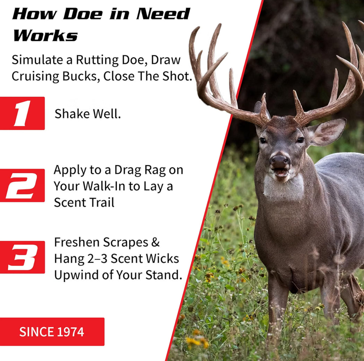 Fitzgerald Doe in Need Rutting Doe Lure Since 1980