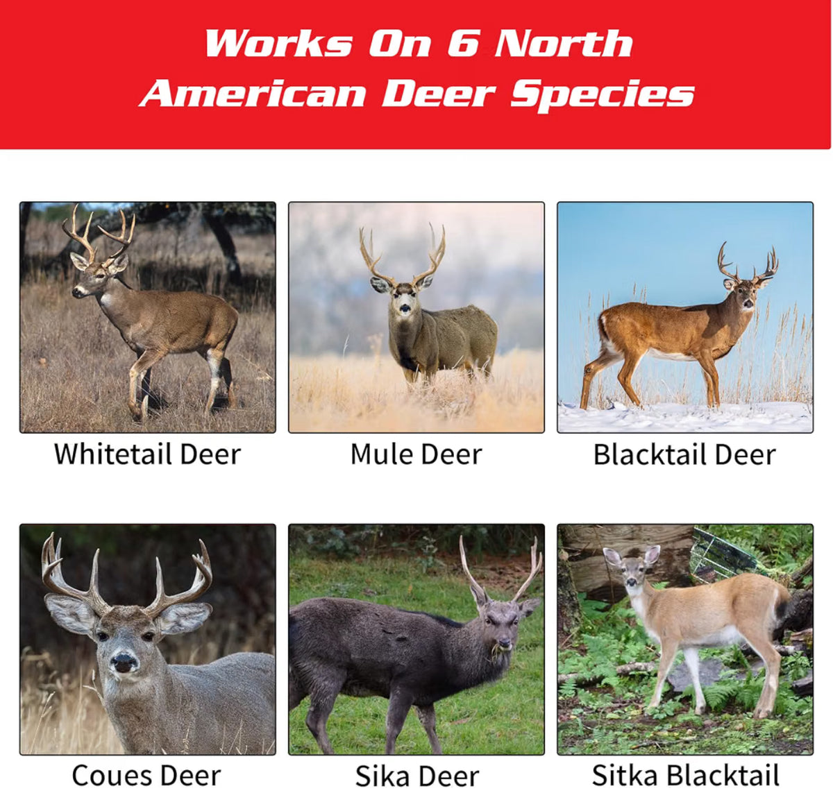 Fitzgerald Doe in Need Rutting Doe Lure Since 1980